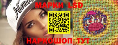 стаф Берёзовский