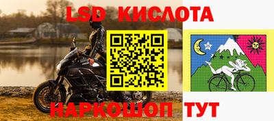 стаф Берёзовский