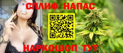 стаф Берёзовский