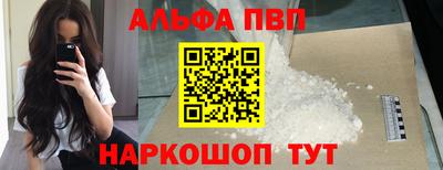 стаф Берёзовский