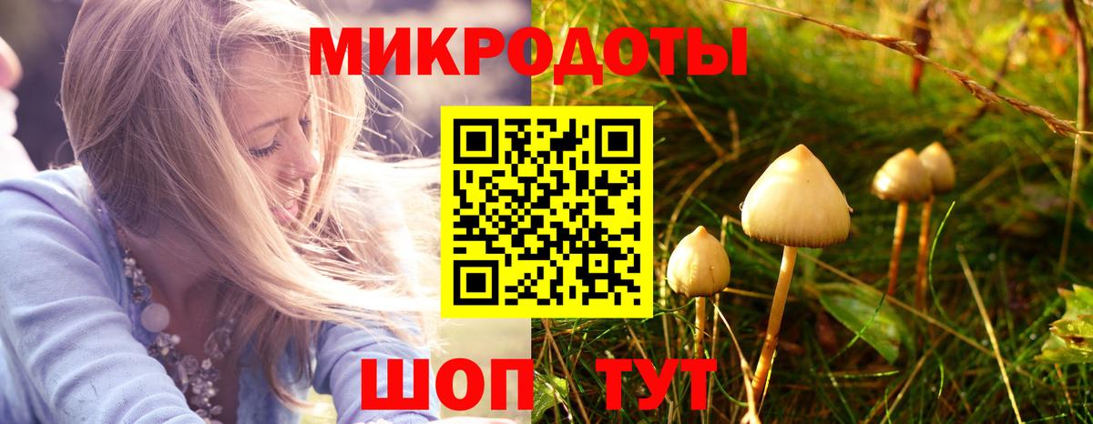 Псилоцибиновые грибы Psilocybine cubensis  Вход с VPN  дарнет шоп  Ивантеевка 